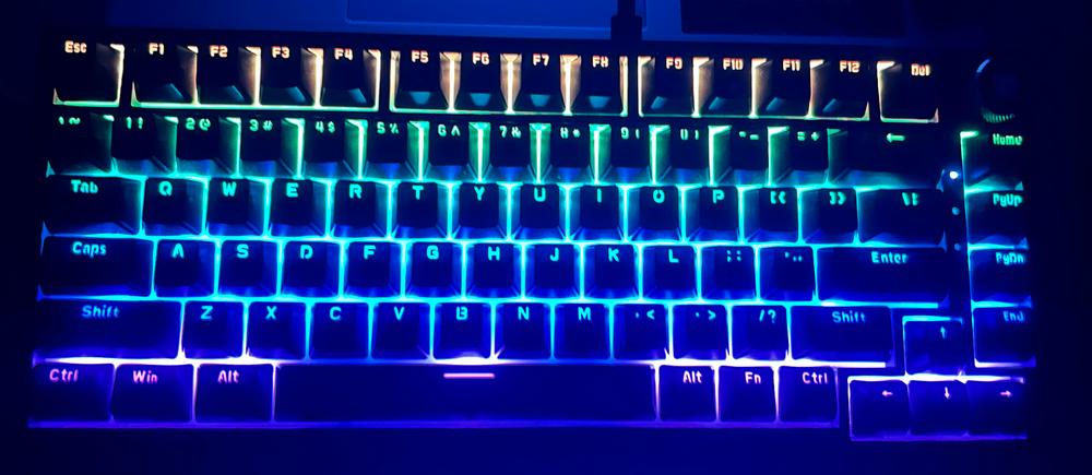 Cosmic Byte Phantom TKL Gasket Mechanical Wired Swappable Keyboard with PreLubed Switches - Customer Photo From Divij Patidar