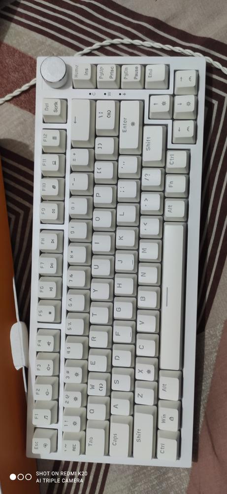 Cosmic Byte Phantom TKL Gasket Mechanical Wired Swappable Keyboard with PreLubed Switches - Customer Photo From ravi pratap