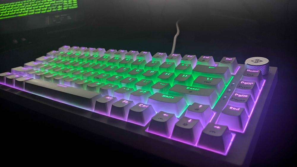 Cosmic Byte Phantom TKL Gasket Mechanical Wired Swappable Keyboard with PreLubed Switches - Customer Photo From Saksham Thakur