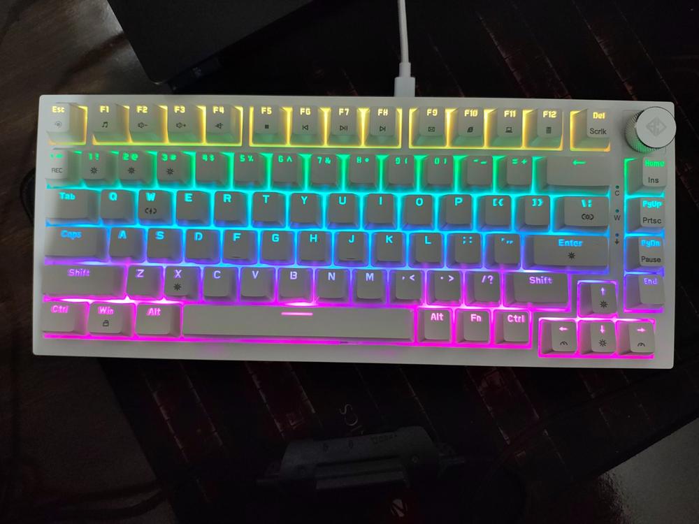 Cosmic Byte Phantom TKL Gasket Mechanical Wired Swappable Keyboard with PreLubed Switches - Customer Photo From Manoj Kumar Singh