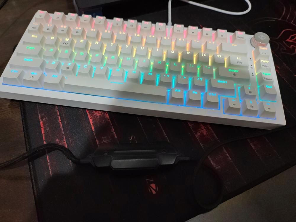 Cosmic Byte Phantom TKL Gasket Mechanical Wired Swappable Keyboard with PreLubed Switches - Customer Photo From Manoj Kumar Singh