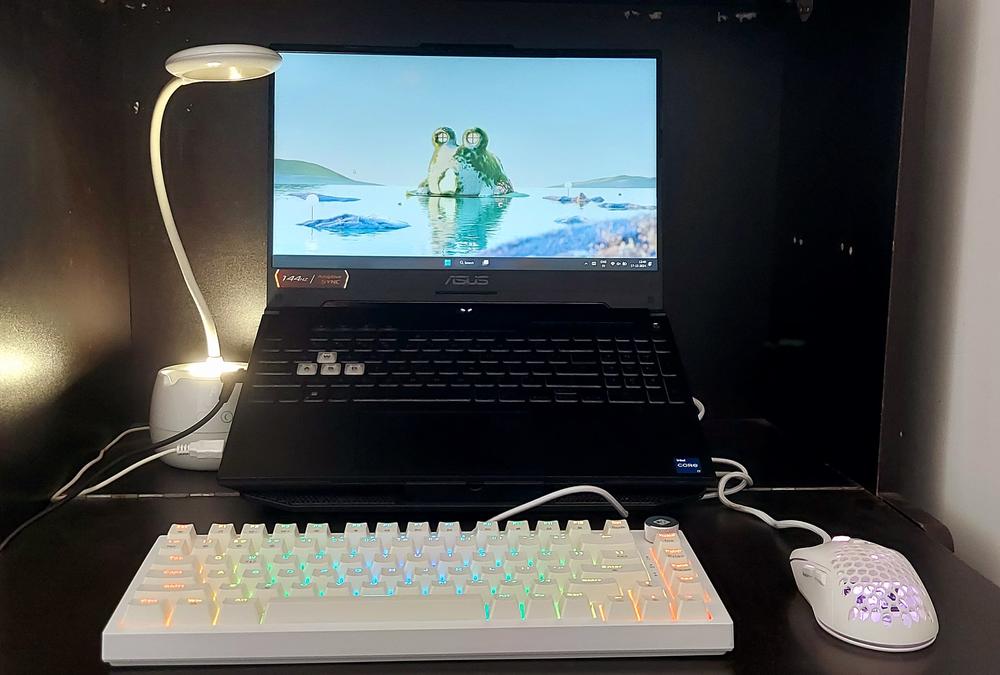 Cosmic Byte Phantom TKL Gasket Mechanical Wired Swappable Keyboard with PreLubed Switches - Customer Photo From Jay