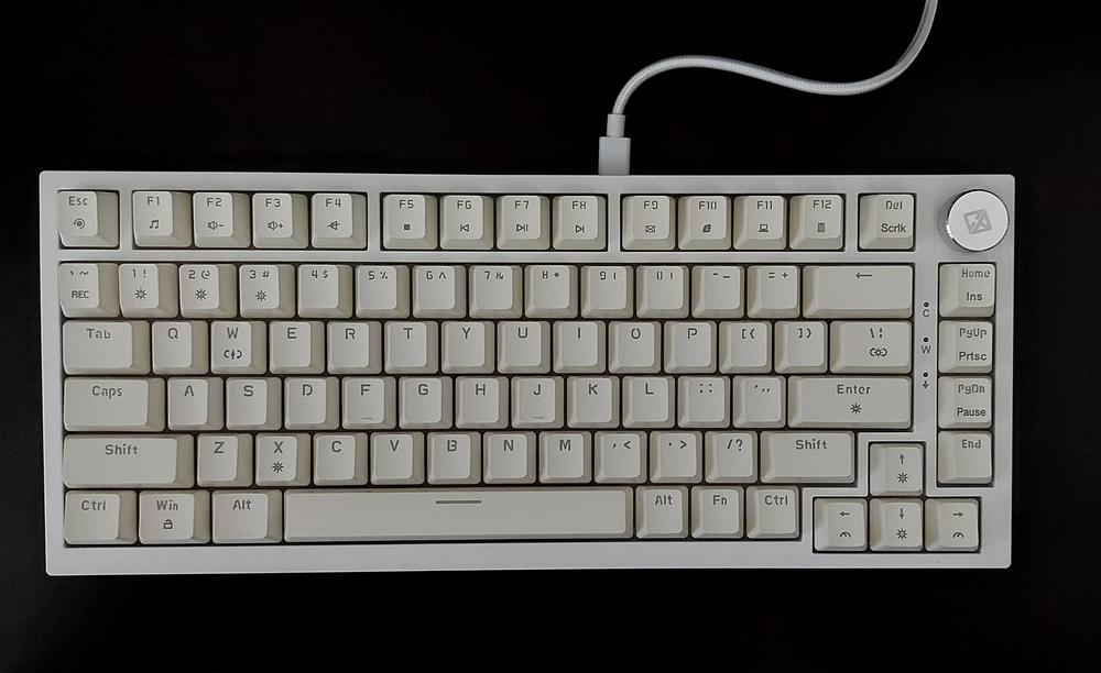 Cosmic Byte Phantom TKL Gasket Mechanical Wired Swappable Keyboard with PreLubed Switches - Customer Photo From Jay