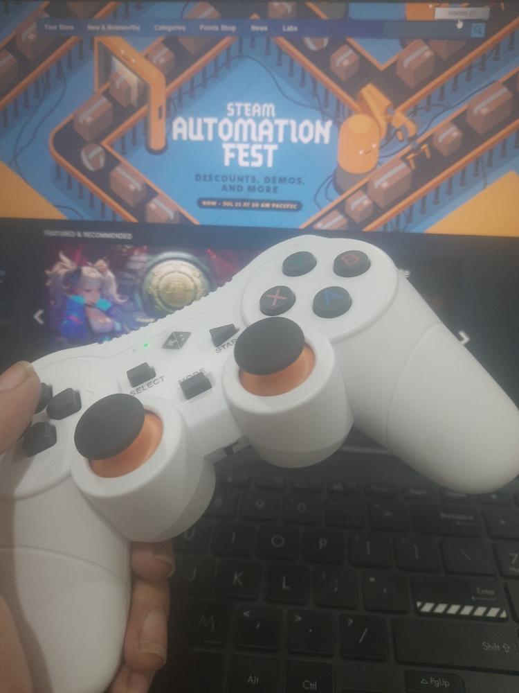 Cosmic Byte Nexus Wireless Controller for PC, AAA Removable Battery - White - Customer Photo From Chitransh Verma