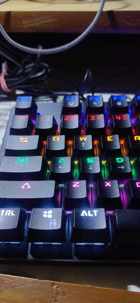 Cosmic Byte CB-GK-13 Neon Rainbow Mechanical Keyboard with Outemu Brown Switch - Customer Photo From Sudhanshu A.