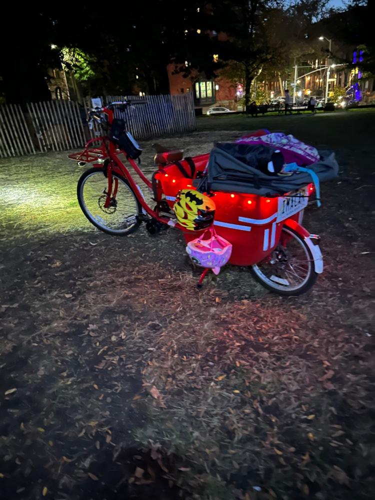 Electric MADSEN "Loaded" - Customer Photo From Tanya Taylor