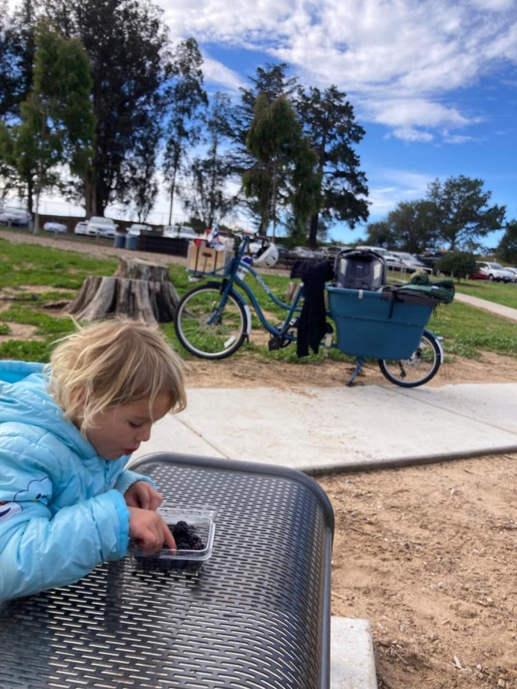 MADSEN Maelkekasse Crate - Customer Photo From Gwen Beyeler