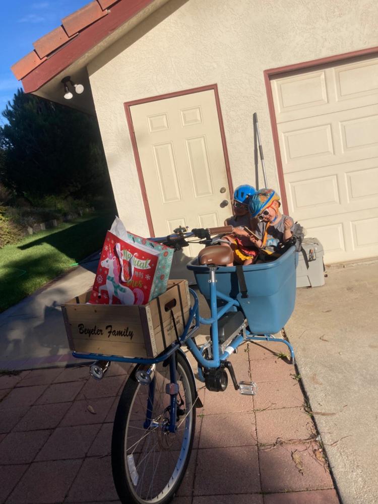 MADSEN Maelkekasse Crate - Customer Photo From Gwen Beyeler