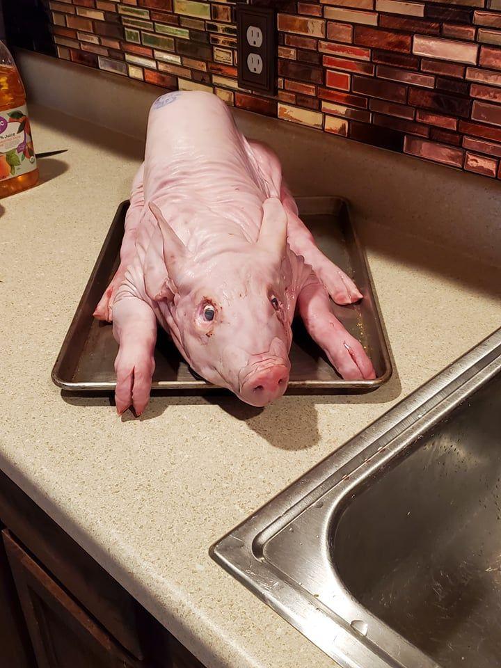 Premium Whole Pig | Heritage - Customer Photo From Wendy Cash