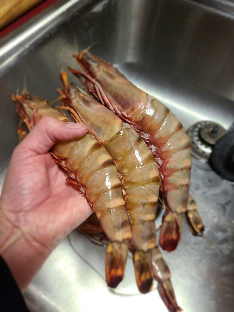 African Tiger Prawns | Wild Caught - Customer Photo From Mary Haas