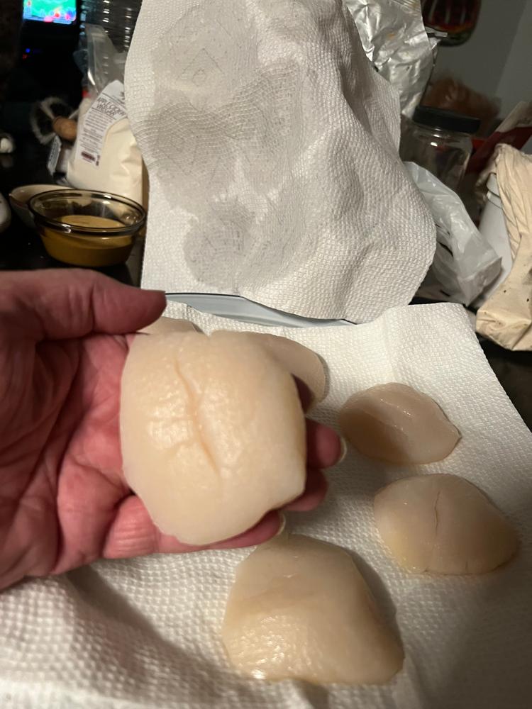 Colossal Boston Dry Scallops | U-8 - Customer Photo From Al