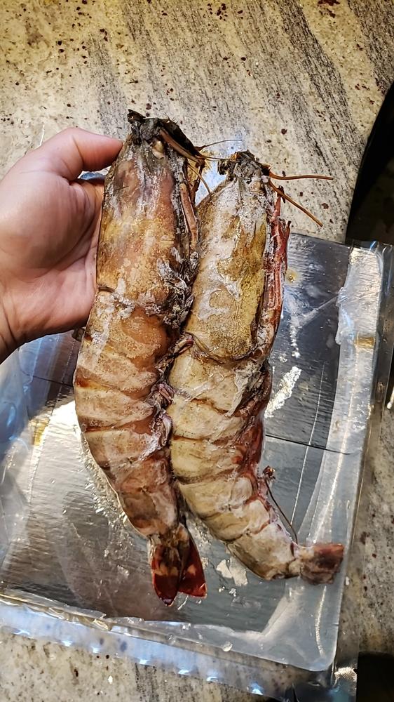 Monster African Tiger Prawns | Wild Caught - Customer Photo From G