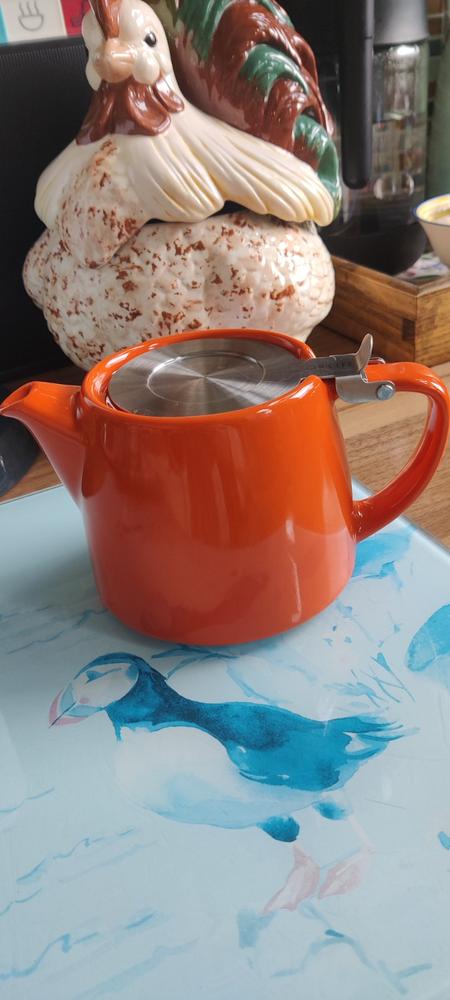 530ml Forlife Stump Teapot (various colours) - Customer Photo From Elaine Goldfinch