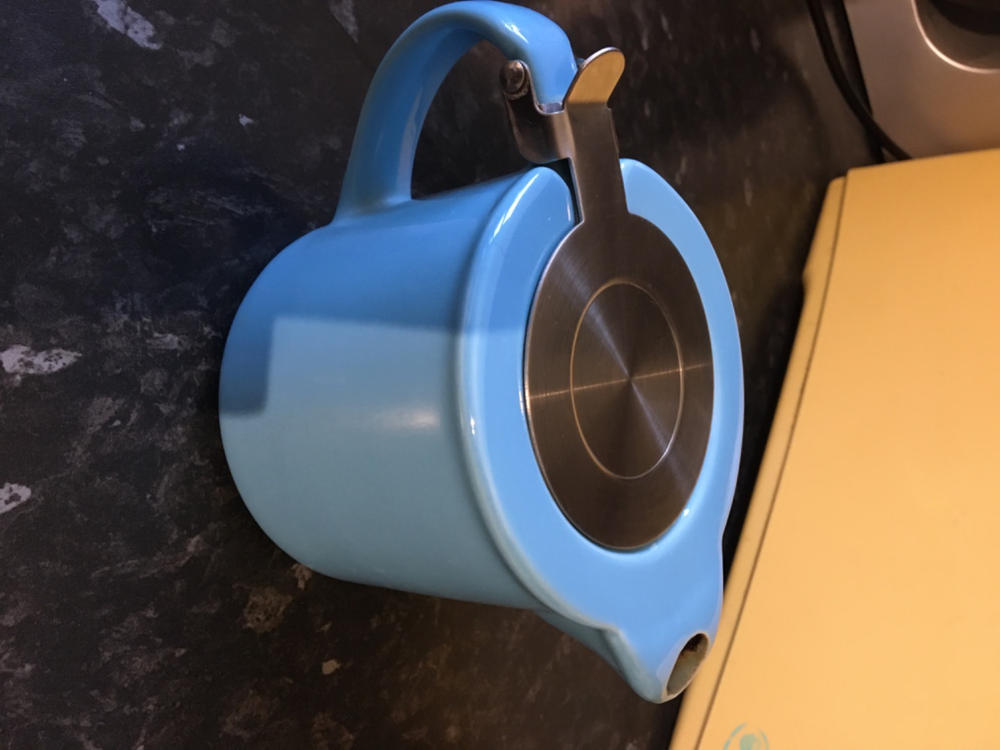 Replacement filter for 530ml Forlife Stump teapot - Customer Photo From Alison Collins