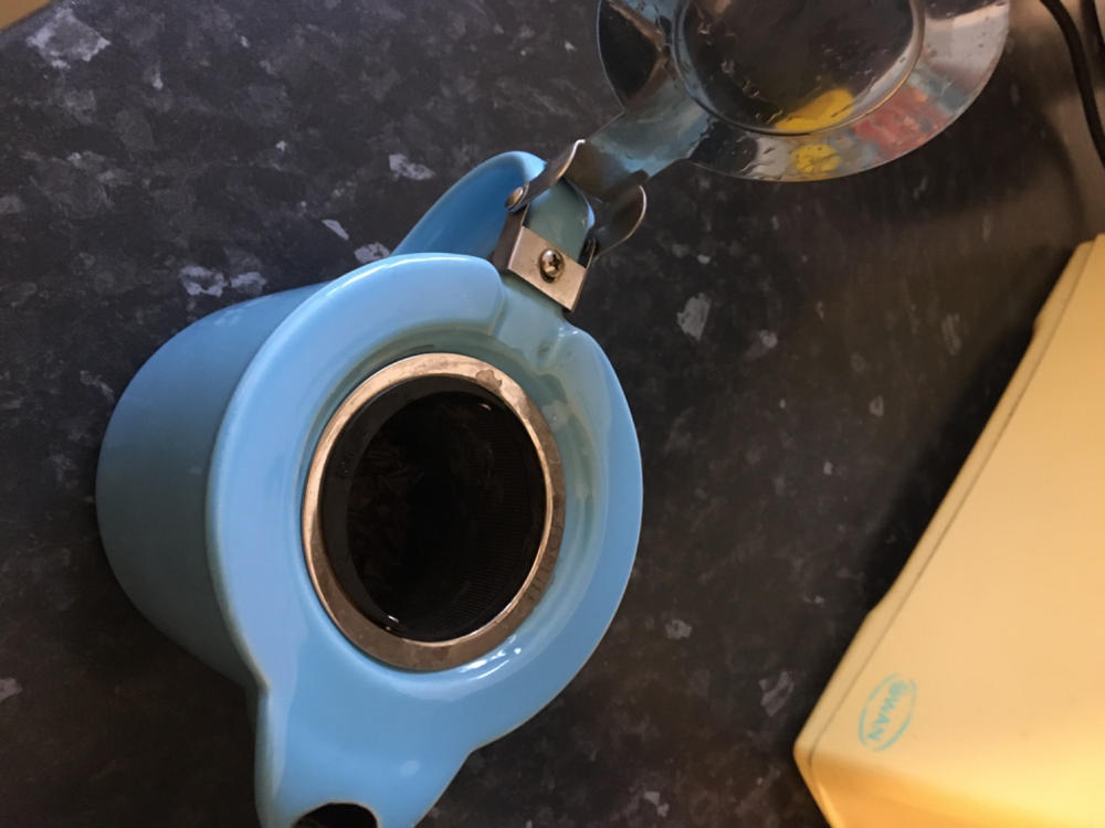 Replacement filter for 530ml Forlife Stump teapot - Customer Photo From Alison Collins