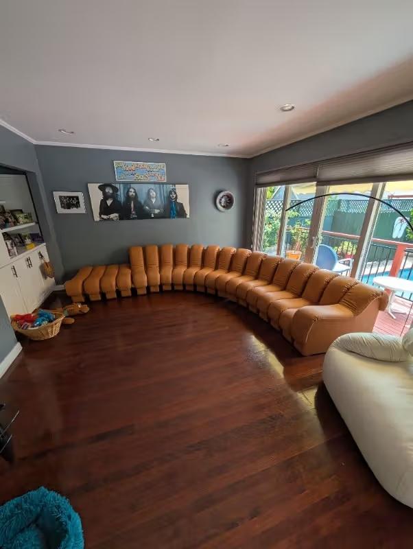 DS-600 Snake - Customer Photo From Mario G.