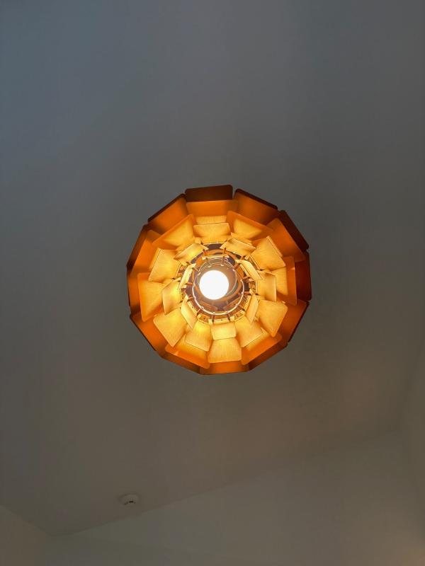 Poul Artichoke Lamp - Customer Photo From Charles F