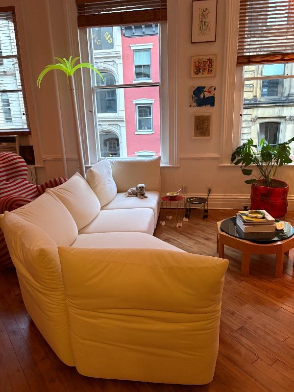 Standard Sofa - Customer Photo From Dianna S. J.