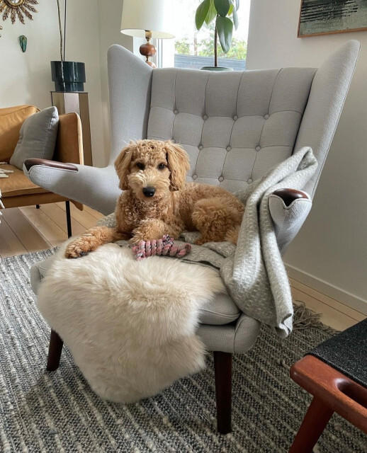 Papa Bear Chair and Ottoman - Customer Photo From Lewis K