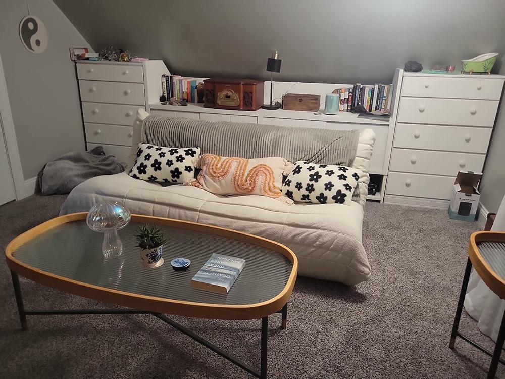 Togo Sofa Replica | Three Seater - Customer Photo From Melissa P