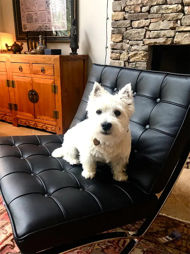 Barcelona Chair Replica - Customer Photo From Summer