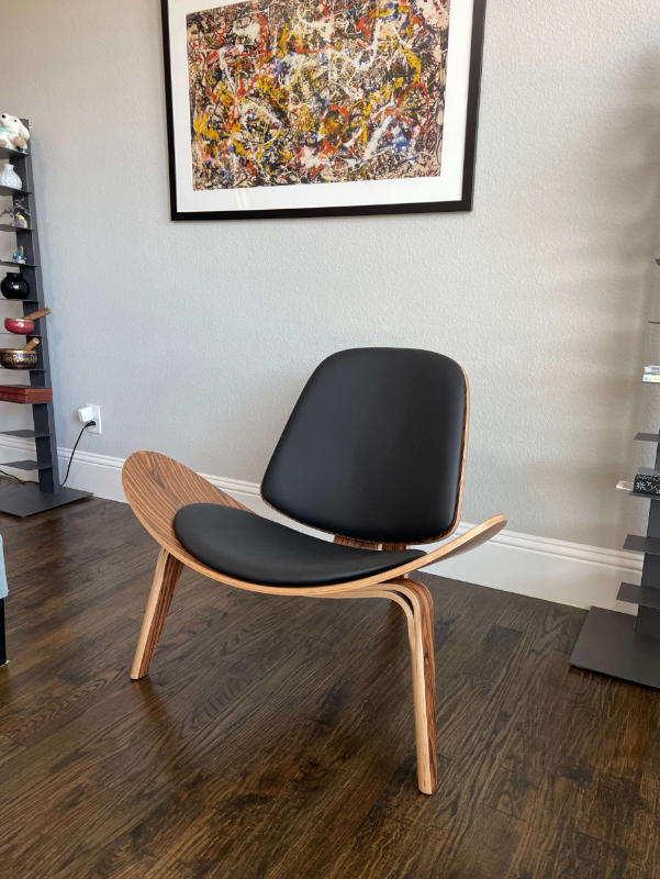Shell 07 Chair - Customer Photo From Asher Dylan