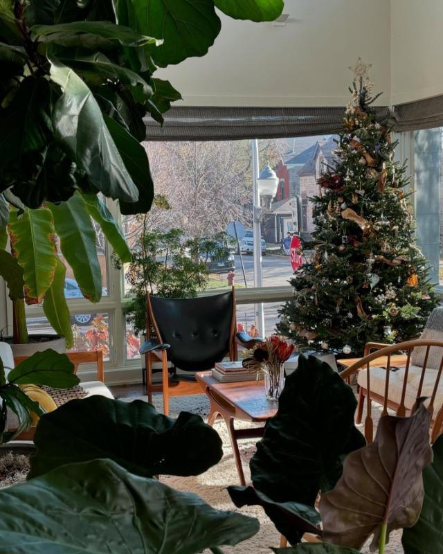 Chieftain Chair - Customer Photo From Robert Willis