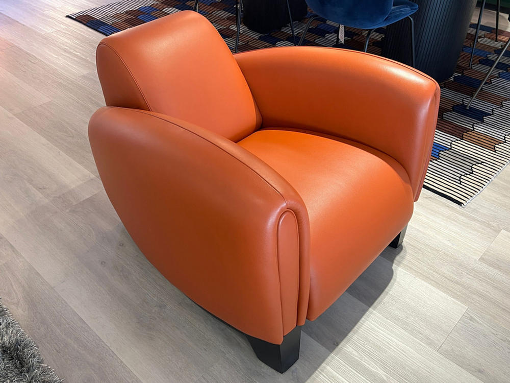 De Sede DS-57 Armchair Replica - Customer Photo From Shanie