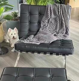 Barcelona Chair Replica (Premier Version) - Customer Photo From Hallie