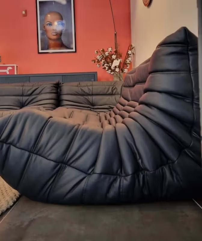 Ducaroy Sofa Leather - Customer Photo From Taylor W.