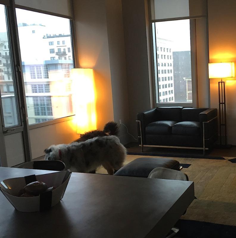 LC2 Loveseat - Customer Photo From Olive