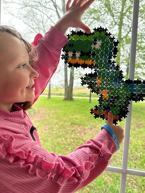 Puzzle by Number® - 250 pc T-Rex - Customer Photo From Anita