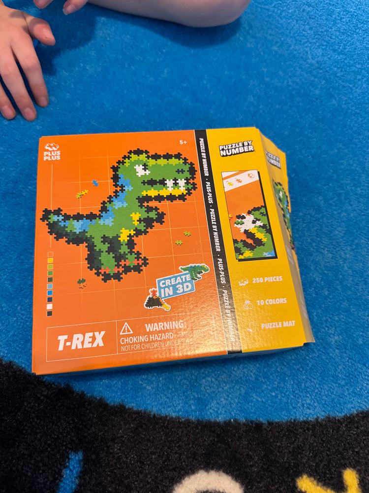 Puzzle by Number® - 250 pc T-Rex - Customer Photo From Amylynn Thomasson