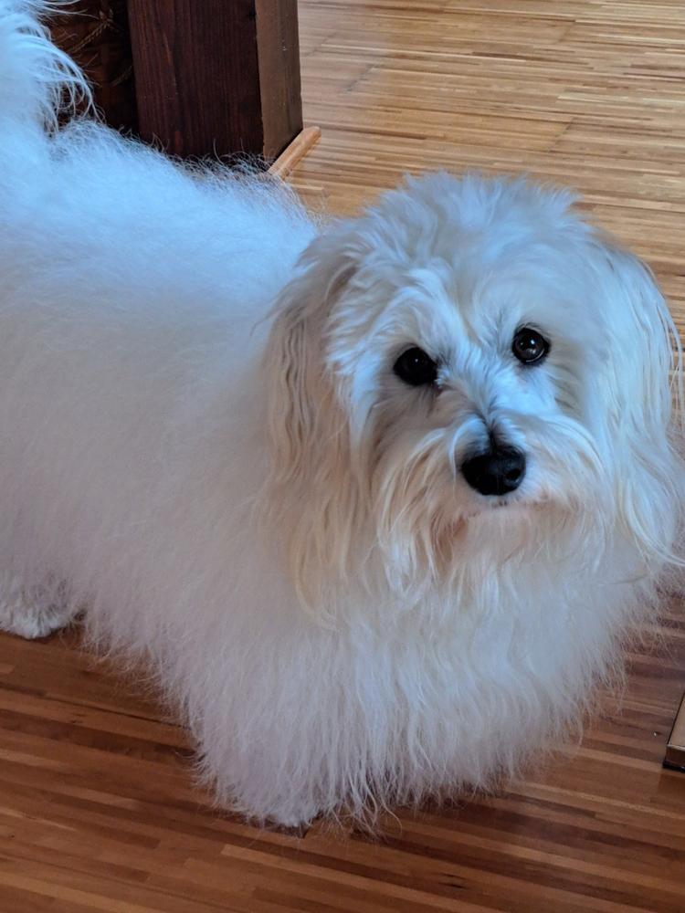 Ovčetina 1kg - Customer Photo From TATJANA RITUPER