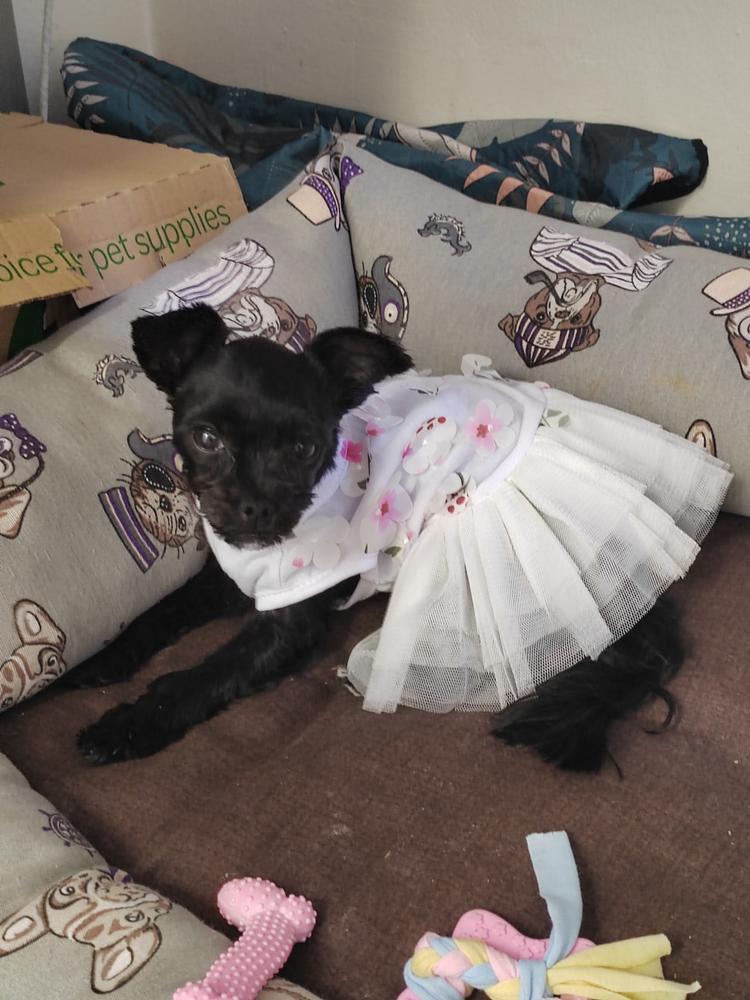 Divjačina 1 kg - Customer Photo From Suzana