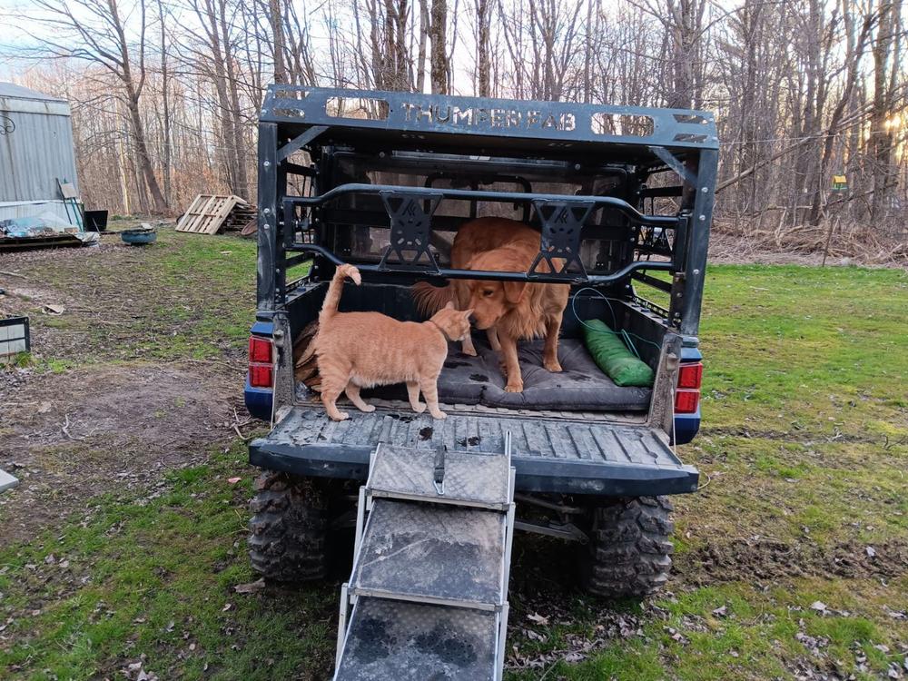 Thumper Fab Polaris Ranger Ultimate Bed Rack - Customer Photo From Sabrina Intorcia