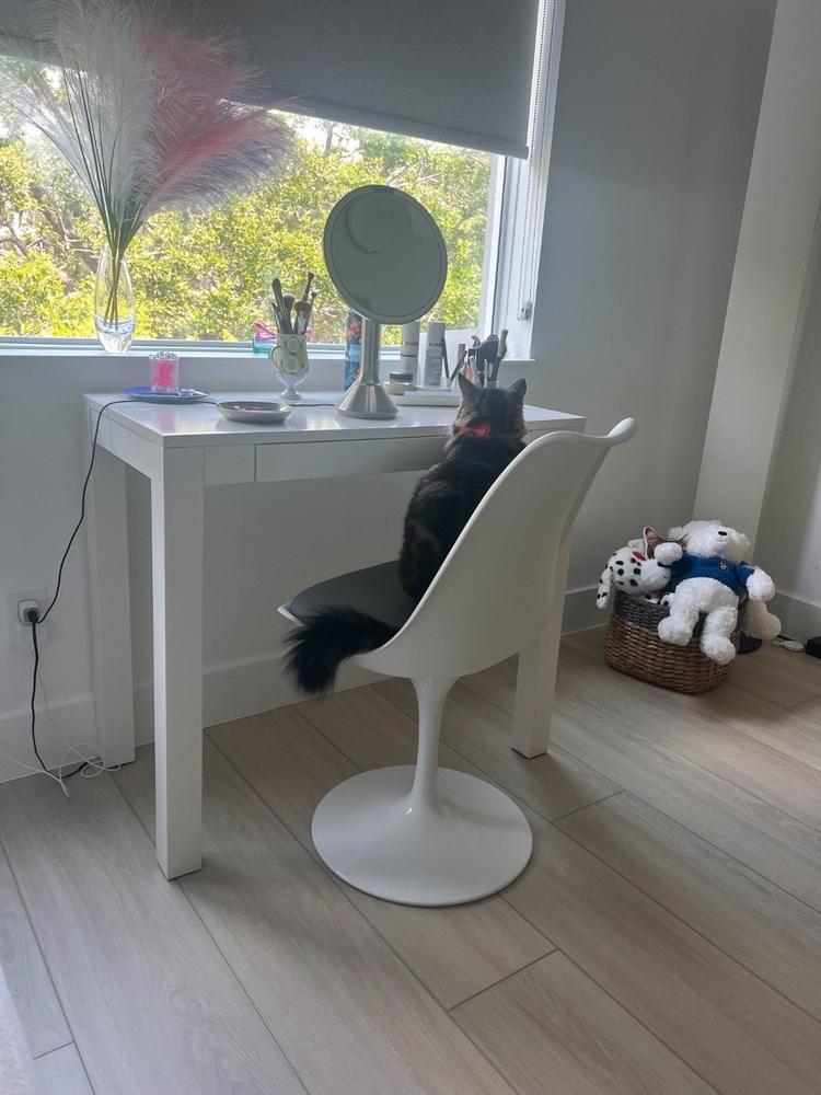 Tulip Swivel Side Chair, Gray - Customer Photo From Anonymous