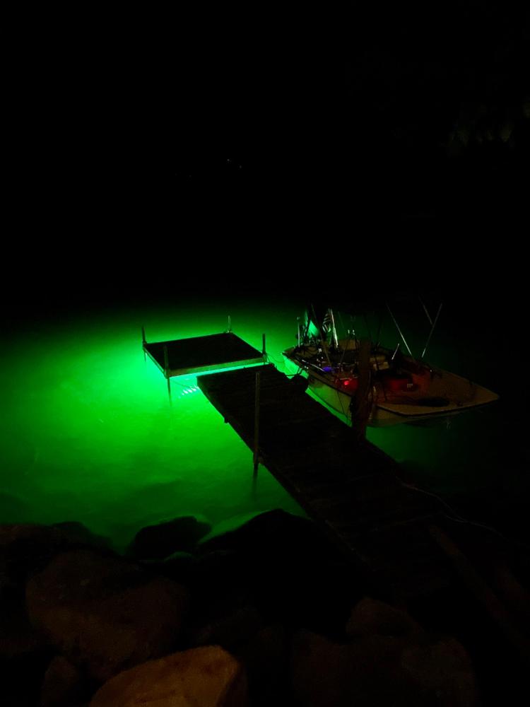 Hydro Glow SeaFloor SF100G Underwater LED Dock Lighting Green Fish Light