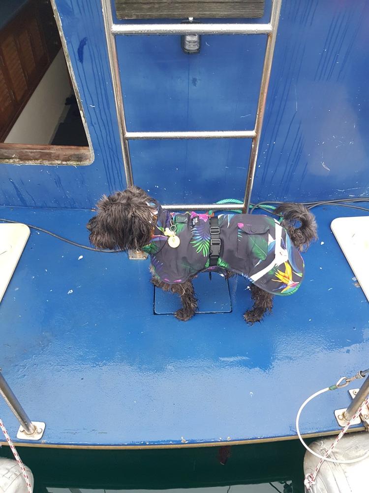 Scribbler Pets Jungle waterproof raincoat for dogs - Customer Photo From Maree Hunt