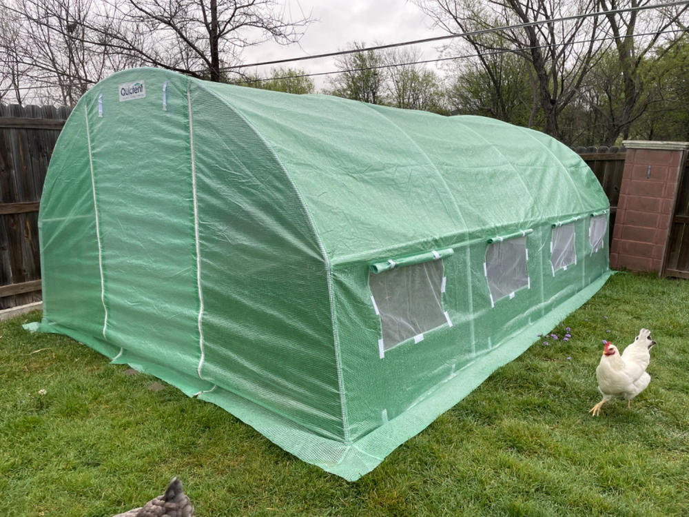 Quictent 20x10 Large Garden Greenhouse, Screen Door, Easy Setup Quictent 20x10 Large Garden Greenhouse, Screen Door, Easy Setup