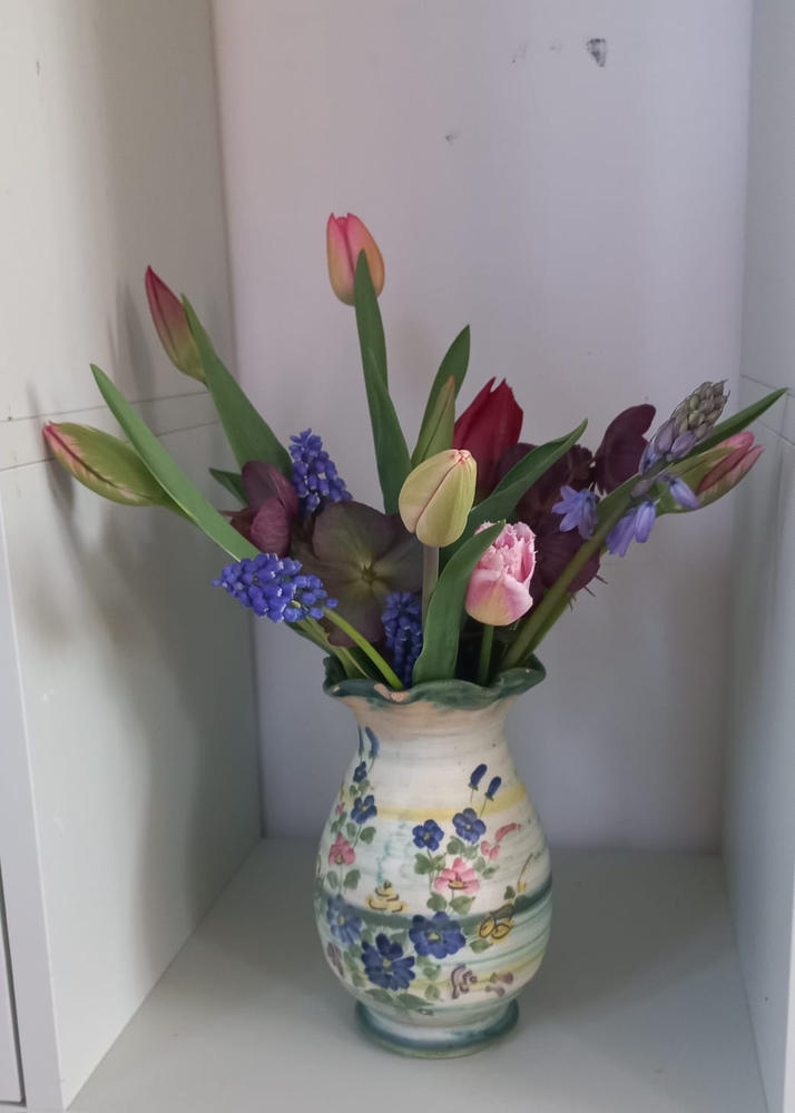 Bio Tulipa