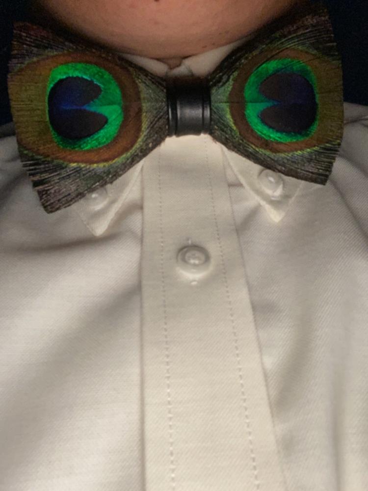 Peacock Feather Bow Tie - Customer Photo From Davin Rosenfeld