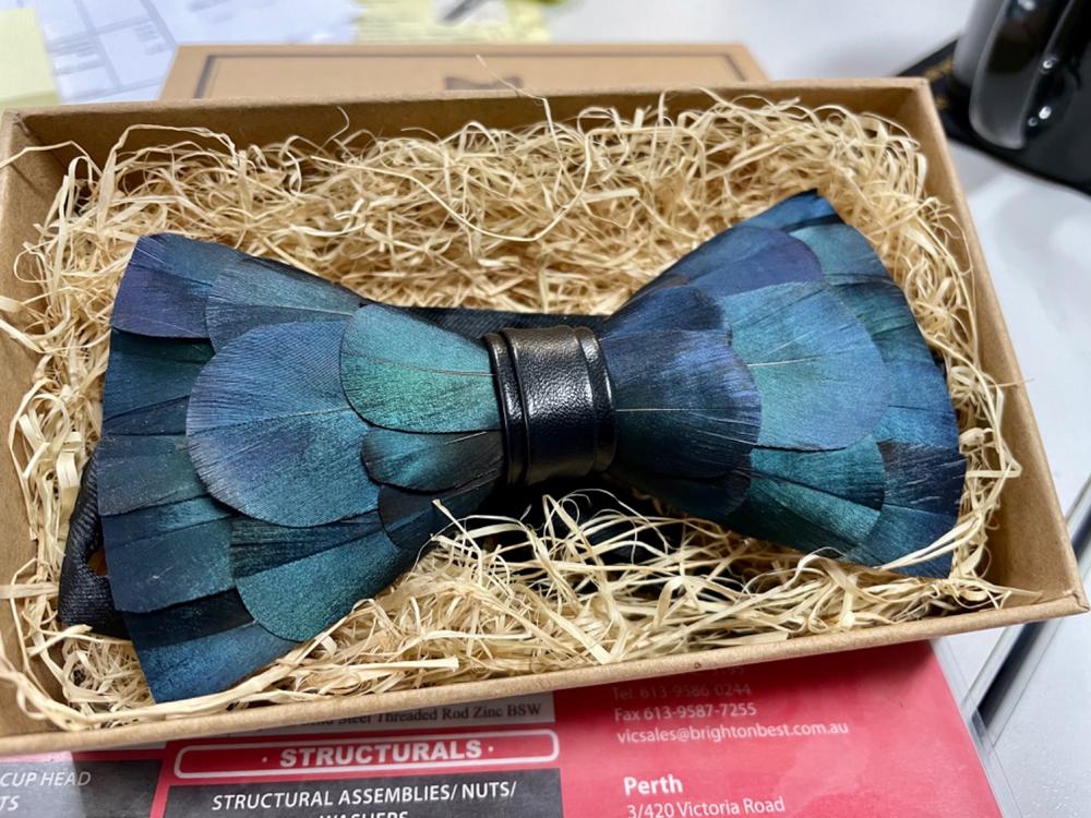 Blue Feather Bow Tie - Customer Photo From Sthalon Fernando