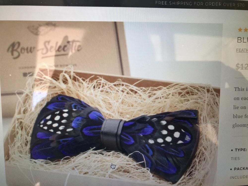 Blue Polka Dot Feather Bow Tie - Customer Photo From Patti H.
