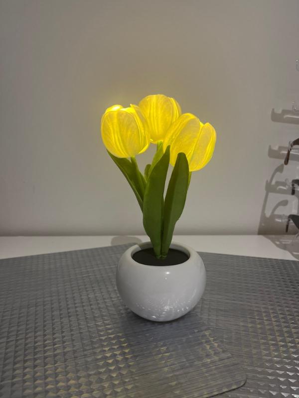 LED Tulip Night Light Flower Table Lamp - Customer Photo From Alexandra