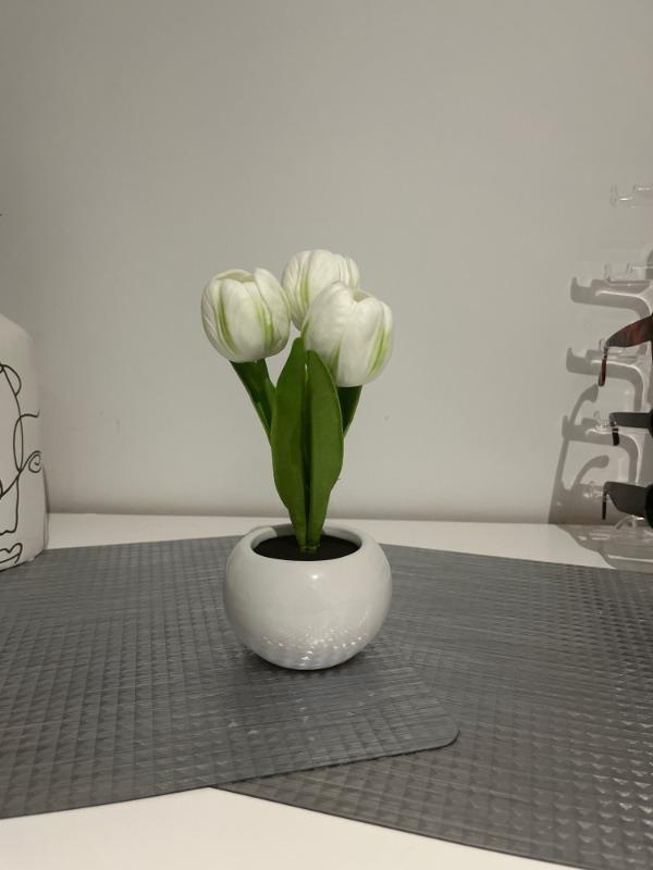 LED Tulip Night Light Flower Table Lamp - Customer Photo From Alexandra