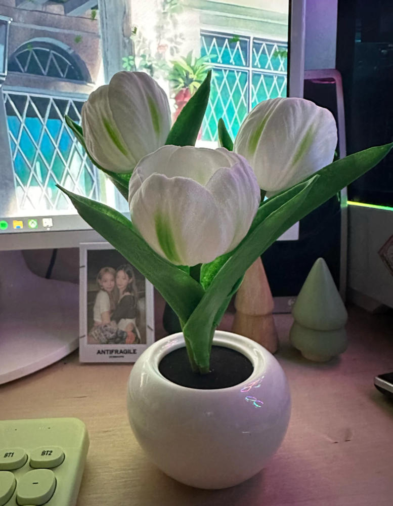 LED Tulip Night Light Flower Table Lamp - Customer Photo From Stacey