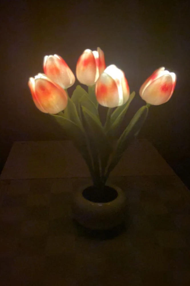 LED Tulip Night Light Flower Table Lamp - Customer Photo From Rosy