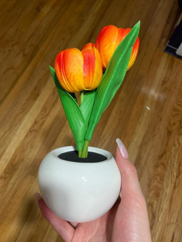 LED Tulip Night Light Flower Table Lamp - Customer Photo From Martha