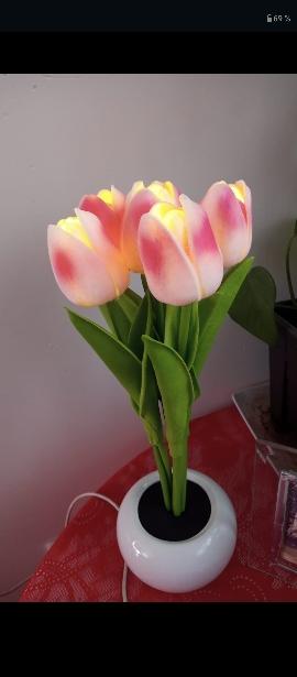 LED Tulip Night Light Flower Table Lamp - Customer Photo From Andrea